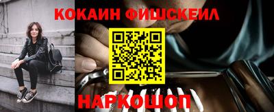 гидра Будённовск