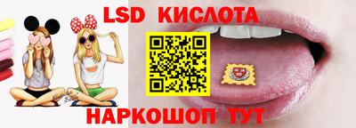 гидра Будённовск