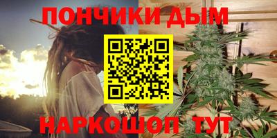 гидра Будённовск