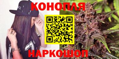 гидра Будённовск