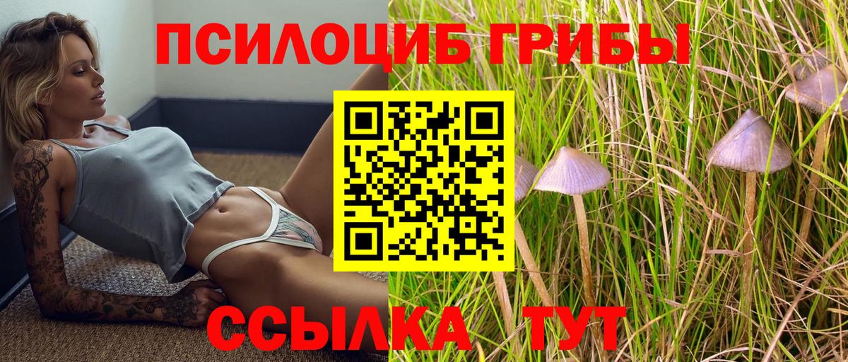 Псилоцибиновые грибы ЛСД Строитель