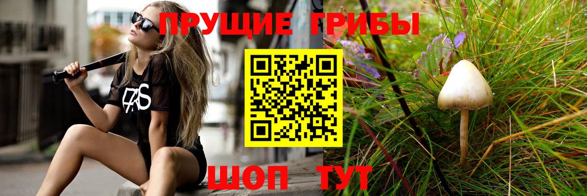 Строитель  Псилоцибиновые грибы Magic Shrooms  Вход с VPN 